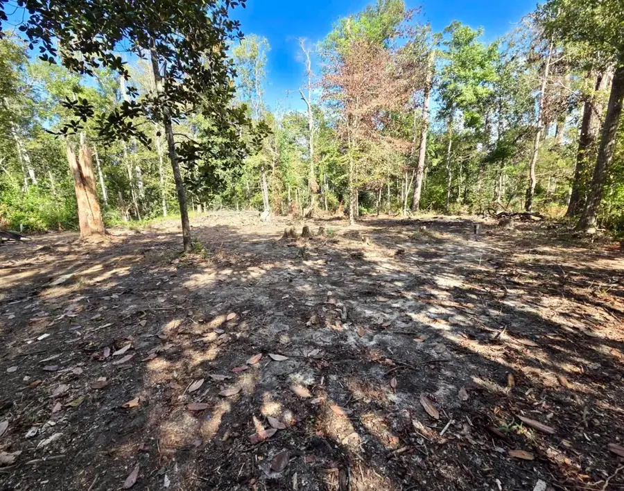 120 Darwin Place, Quincy, FL 32351 - #2