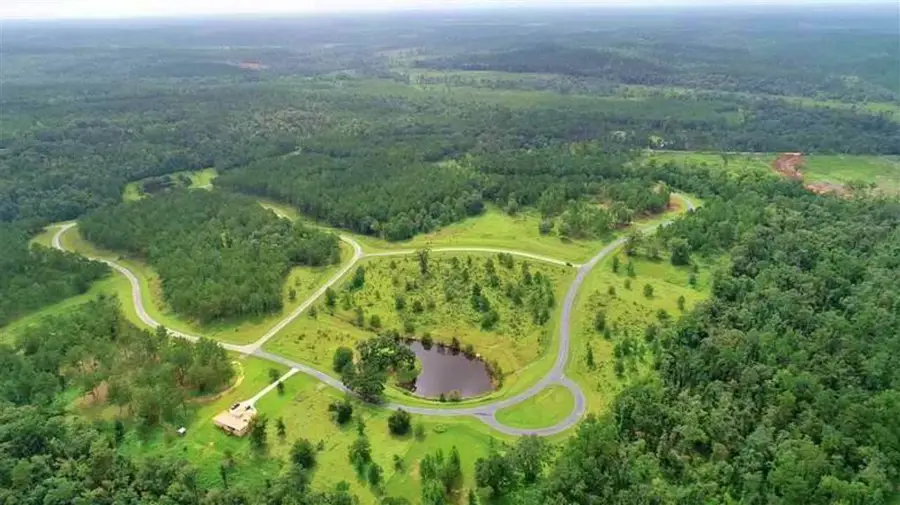 Lot 5/6 Block A Mountain View Way, Other Georgia, GA 39819 - #2