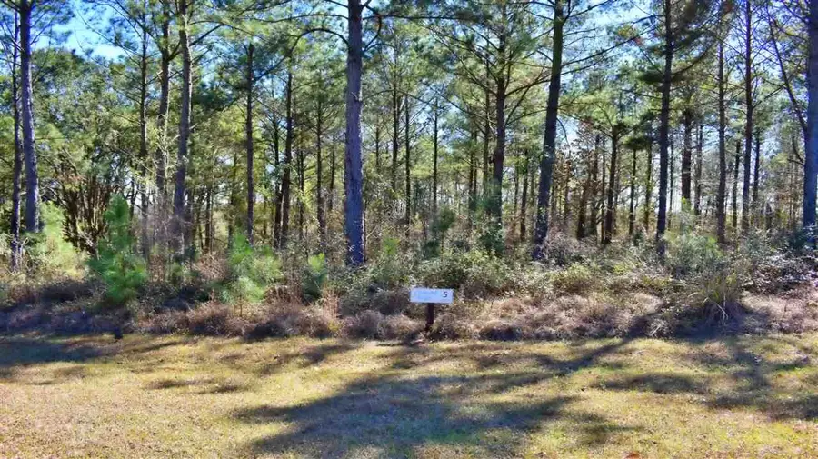 Lot 5/6 Block A Mountain View Way, Other Georgia, GA 39819 - #3