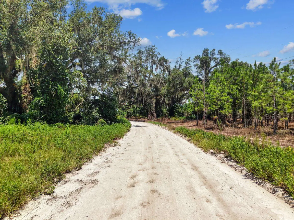 1083 NW Turlington Lane, Mayo, FL 32066 - #1