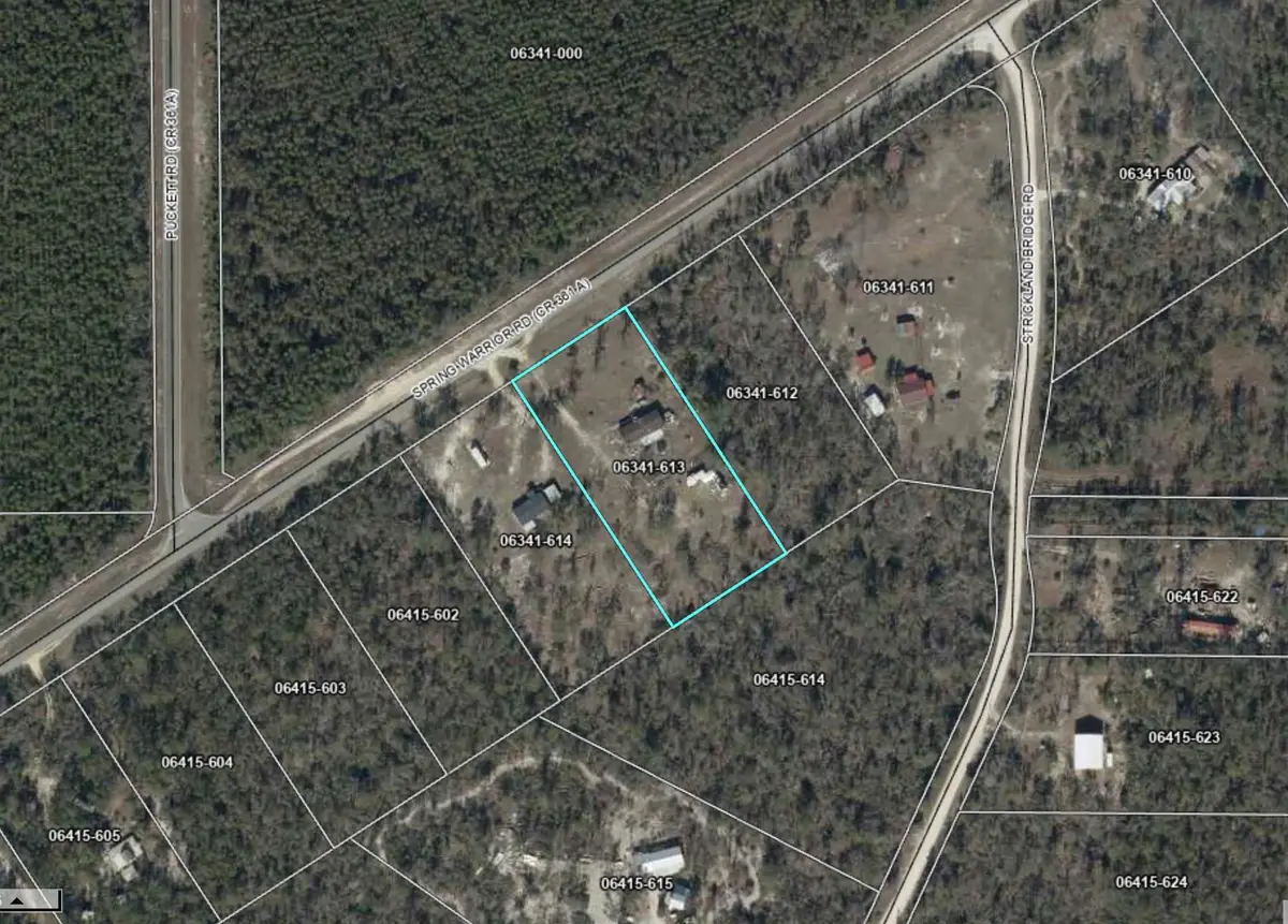 12975 Spring Warrior Road, Perry, FL 32348 - #1