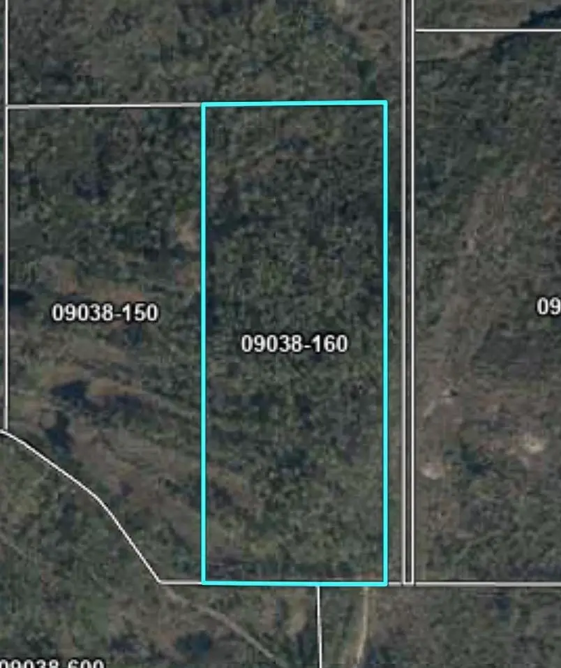 00 Vacant Max Road, Perry, FL 32347 - #1
