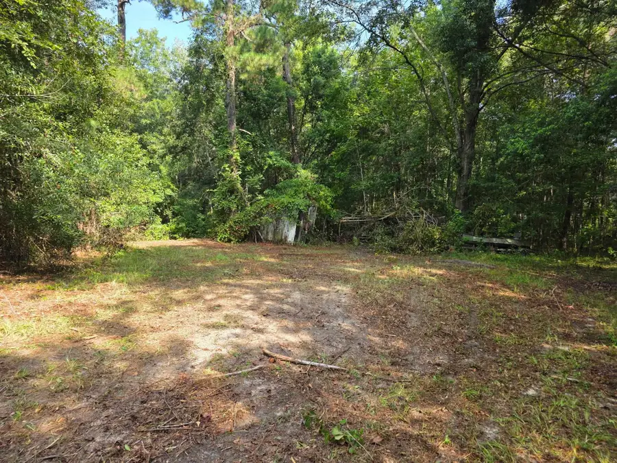 654 Johnson Road, Havana, FL 32333 - #3
