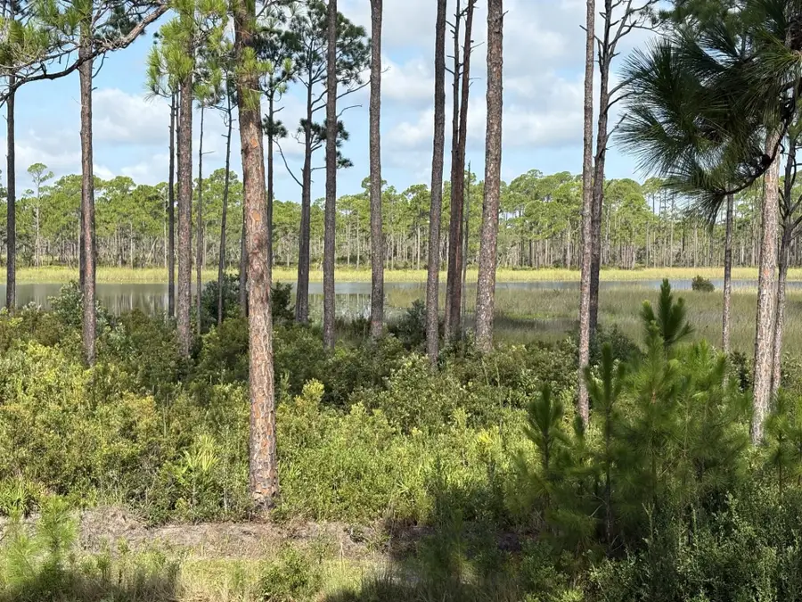 4 Rainey Trail Trail, Panacea, FL 32346 - #3