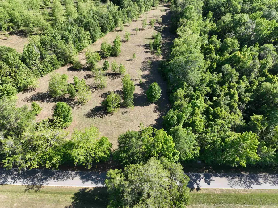 285 Wayside Farm Road, Havana, FL 32333 - #3