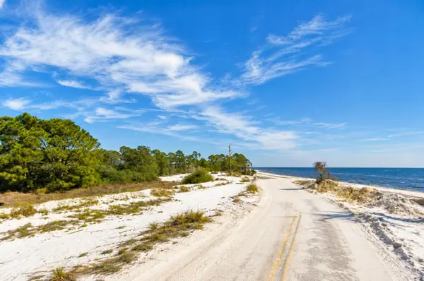 1008 & 1010 Alan Lane, Alligator Point, FL 32346