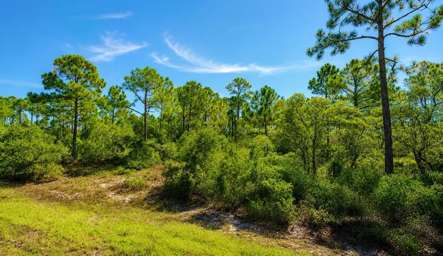 1008 & 1010 Alan Lane, Alligator Point, FL 32346 - #3