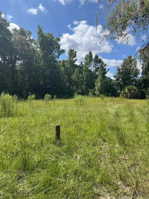 xx Paulette Drive, Crawfordville, FL 32327