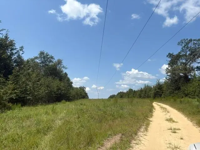 xx Nw Cr 275, Altha, FL 32421 - #3