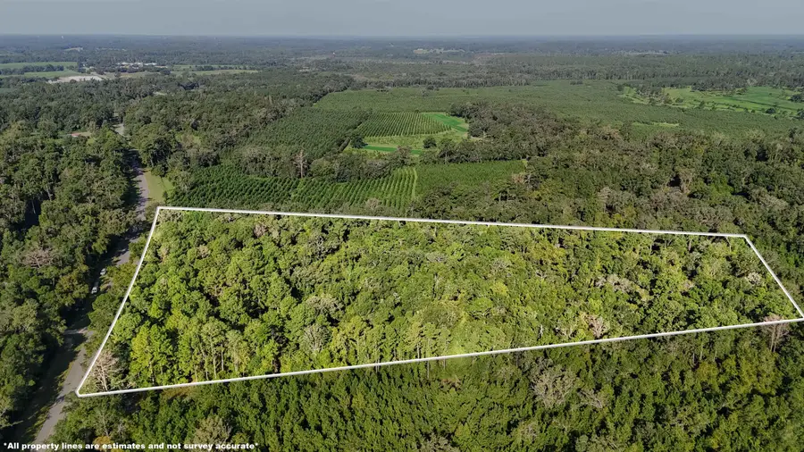 XXX Ashville Hwy, Monticello, FL 32344 - #3