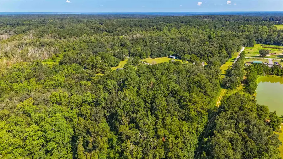 XXX Vista Road, Monticello, FL 32344 - #2