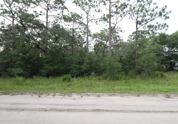Lot 4 Britton Drive, Panacea, FL 32346