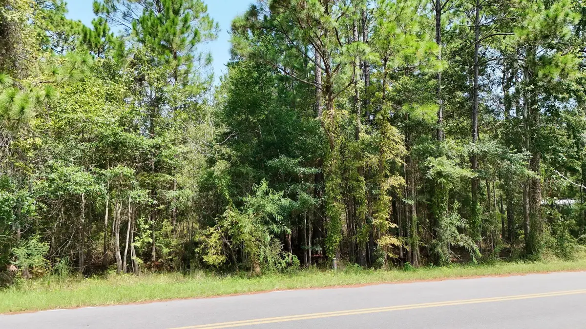 x Joe Mack Smith Street, Panacea, FL 32346 - #1