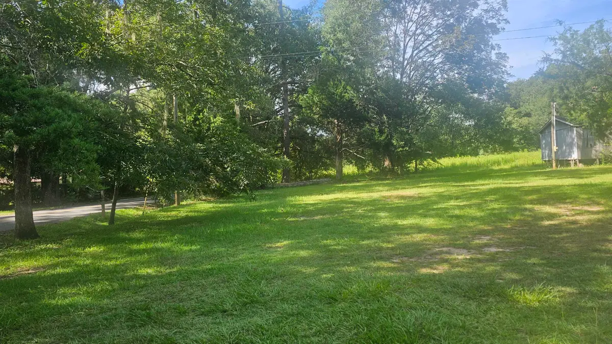 1104 Leslie Lewis Road, Havana, FL 32333 - #1