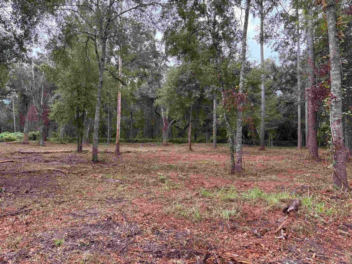 1602 Walker Springs Rd., Monticello, FL 32344 - #1