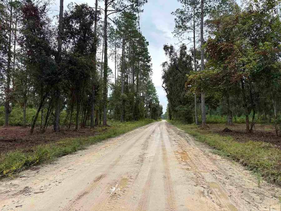1602 Walker Springs Rd., Monticello, FL 32344 - #2