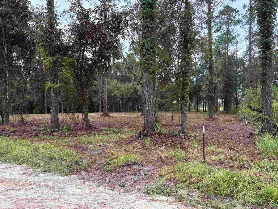 1602 Walker Springs Rd., Monticello, FL 32344 - #3