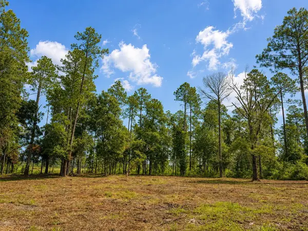 000 Walker Springs Rd., Monticello, FL 32344