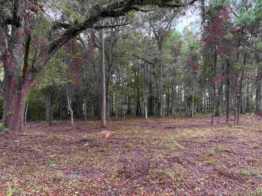 000 Walker Springs Rd., Monticello, FL 32344 - #3