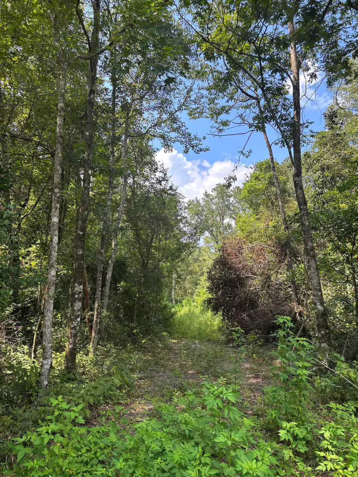727 Mill Road, Carrabelle, FL 32322 - #1