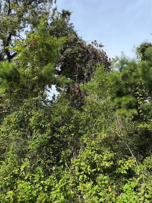 xxx Rochelsie Road, Crawfordville, FL 32327