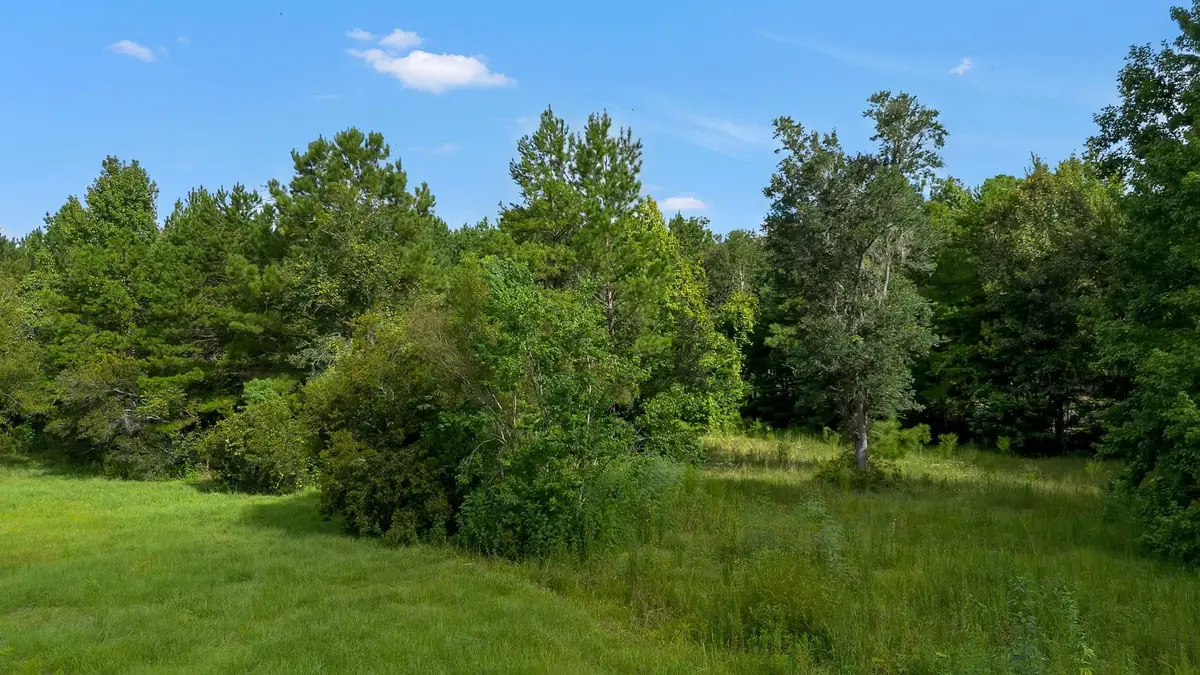 402 Mistletoe Lane, Monticello, FL 32344 - #1