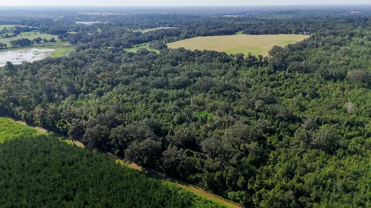 XXX Steen Road, Monticello, FL 32344 - #1