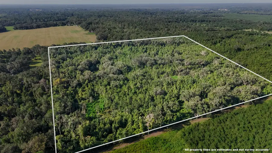 XXX Steen Road, Monticello, FL 32344 - #2