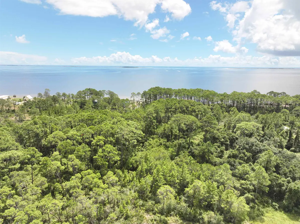 XX Woodill Road, Carrabelle, FL 32322 - #1