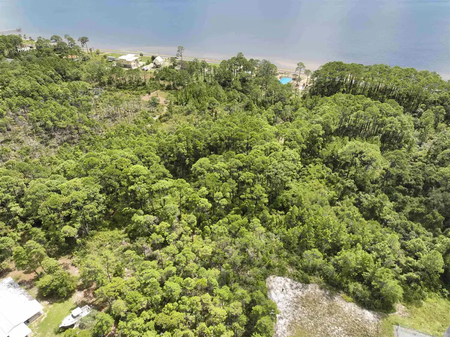XX Woodill Road, Carrabelle, FL 32322 - #3