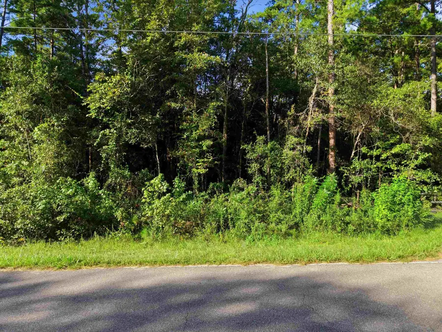 0 Day Star Court, Tallahassee, FL 32309 - #3