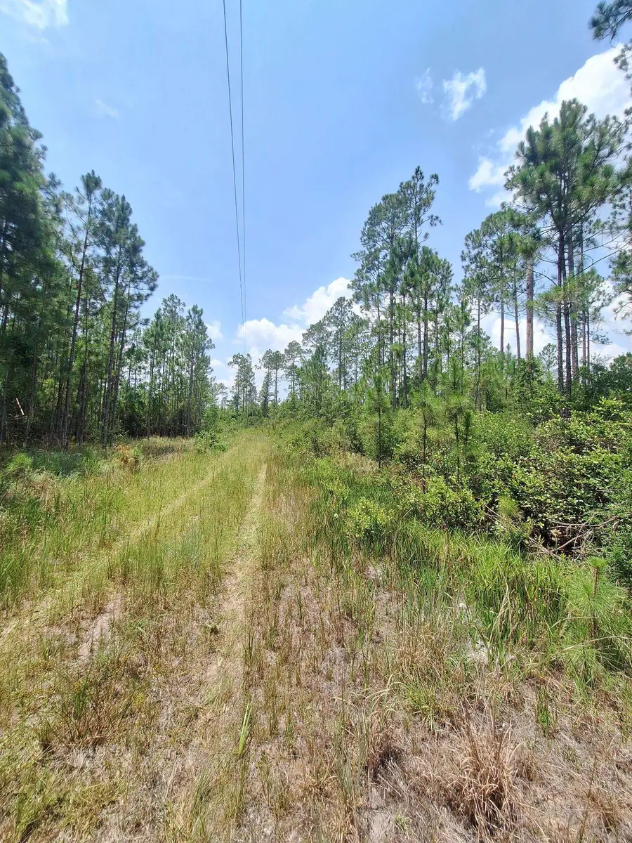 TBD Wildcat Road, Perry, FL 32348 - #3