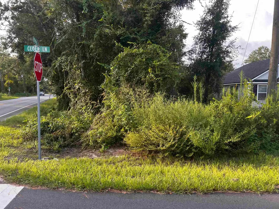 x Cloer Lane, Crawfordville, FL 32327 - #3