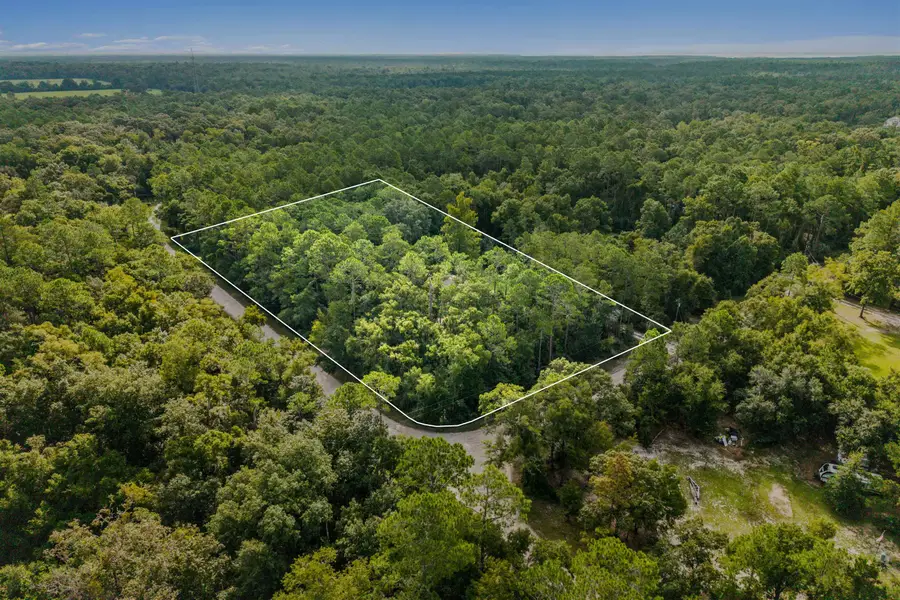 59 Sink Dr, Crawfordville, FL 32327 - #3