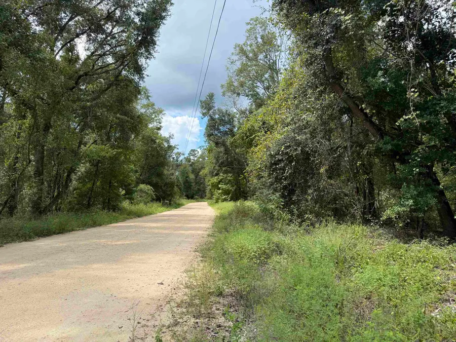 Vacant E Duckpond Drive, Greenville, FL 32331 - #2