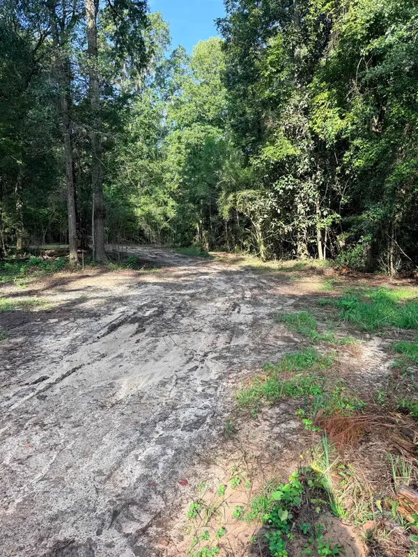 349 Green Oaks Road, Havana, FL 32333