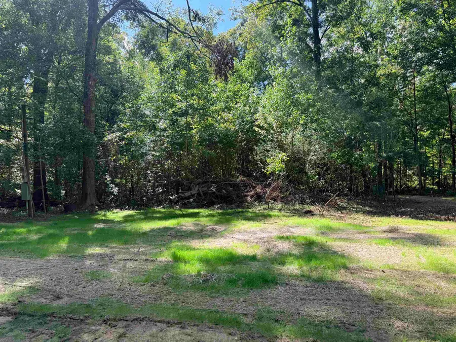 349 Green Oaks Road, Havana, FL 32333 - #3
