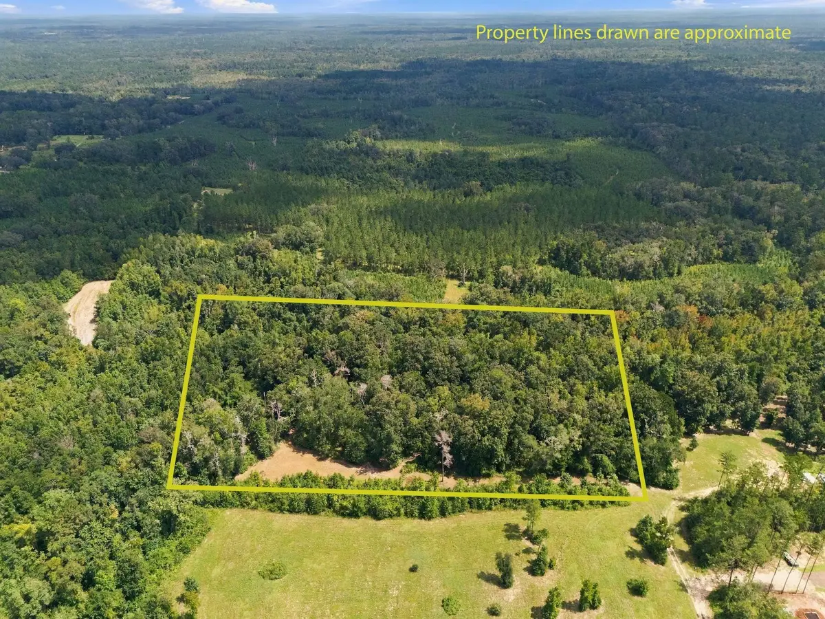 Lot 16 Johnny Rd, Monticello, FL 32336 - #1