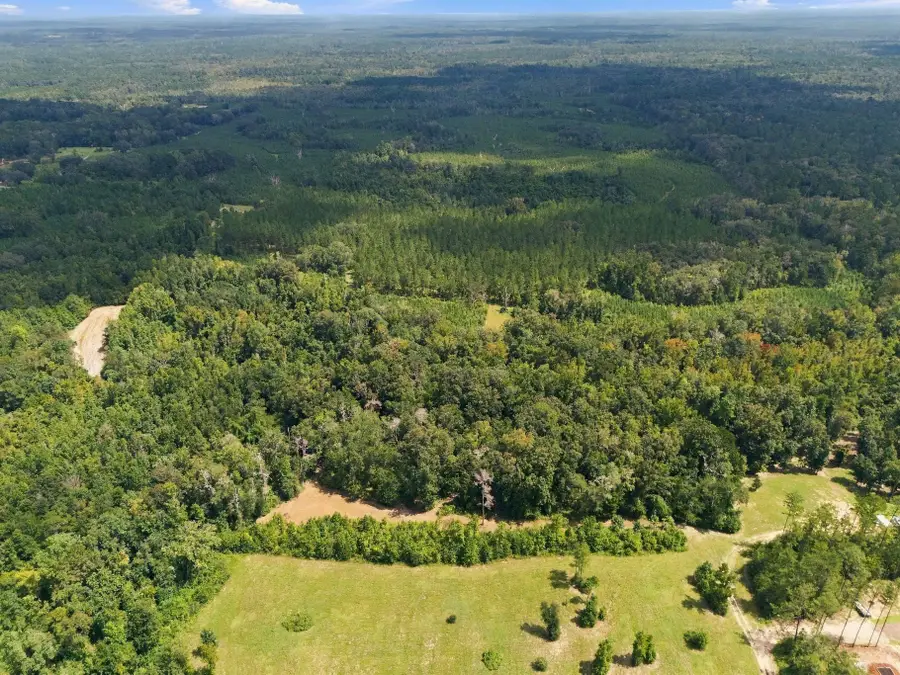 Lot 16 Johnny Rd, Monticello, FL 32336 - #2