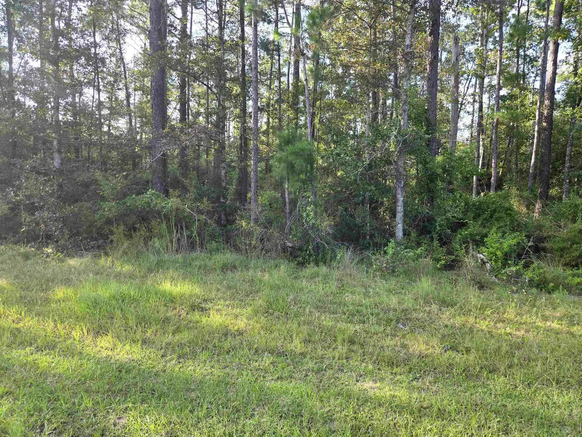 xxx Cr 333 #Lots 20, 21, 22, Bristol, FL 32321 - #1