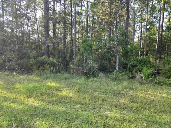 xxx Cr 333 #Lots 20, 21, 22, Bristol, FL 32321