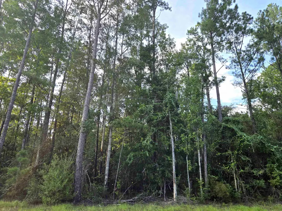 xxx Cr 333 #Lots 20, 21, 22, Bristol, FL 32321 - #3