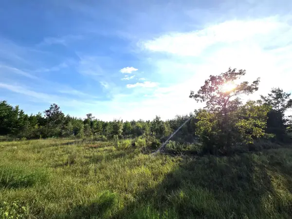 XXX NE Telogia Creek West, Bristol, FL 32321
