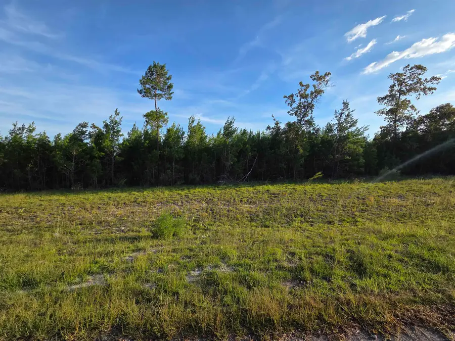 XXX NE Telogia Creek West, Bristol, FL 32321 - #3