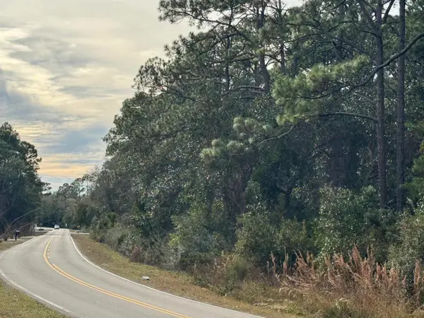 XX Ryan Drive, Carrabelle, FL 32322