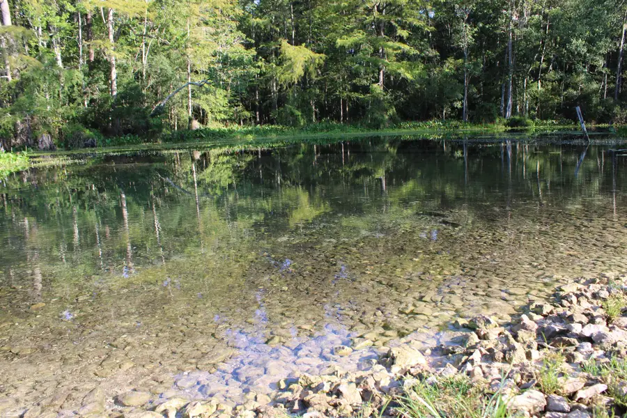1410 Malloy Landing Road, Monticello, FL 32344 - #2