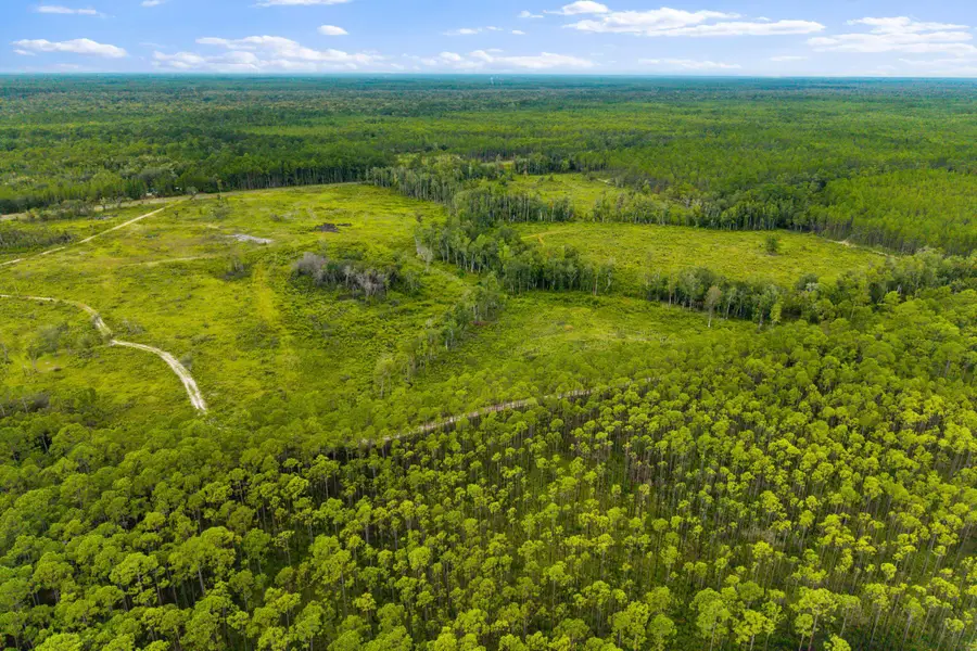 XX Smith Creek Road, Sopchoppy, FL 32358 - #2