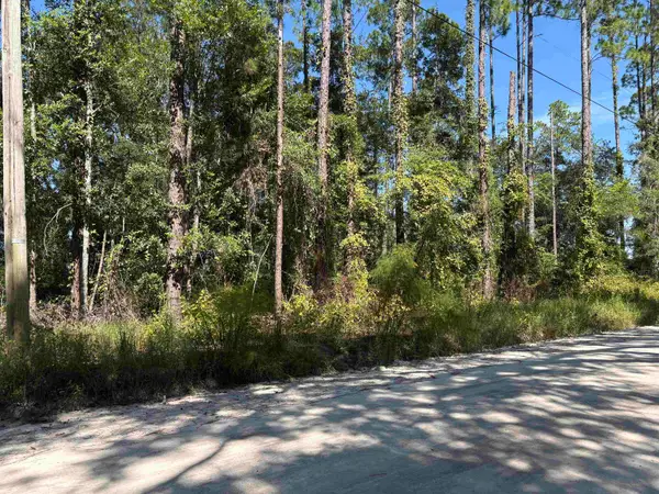 0000 Vacant Walker Springs Rd, Monticello, FL 32344