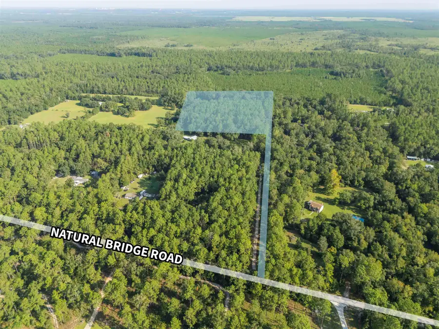 4238 Natural Bridge Road, Tallahassee, FL 32305 - #3