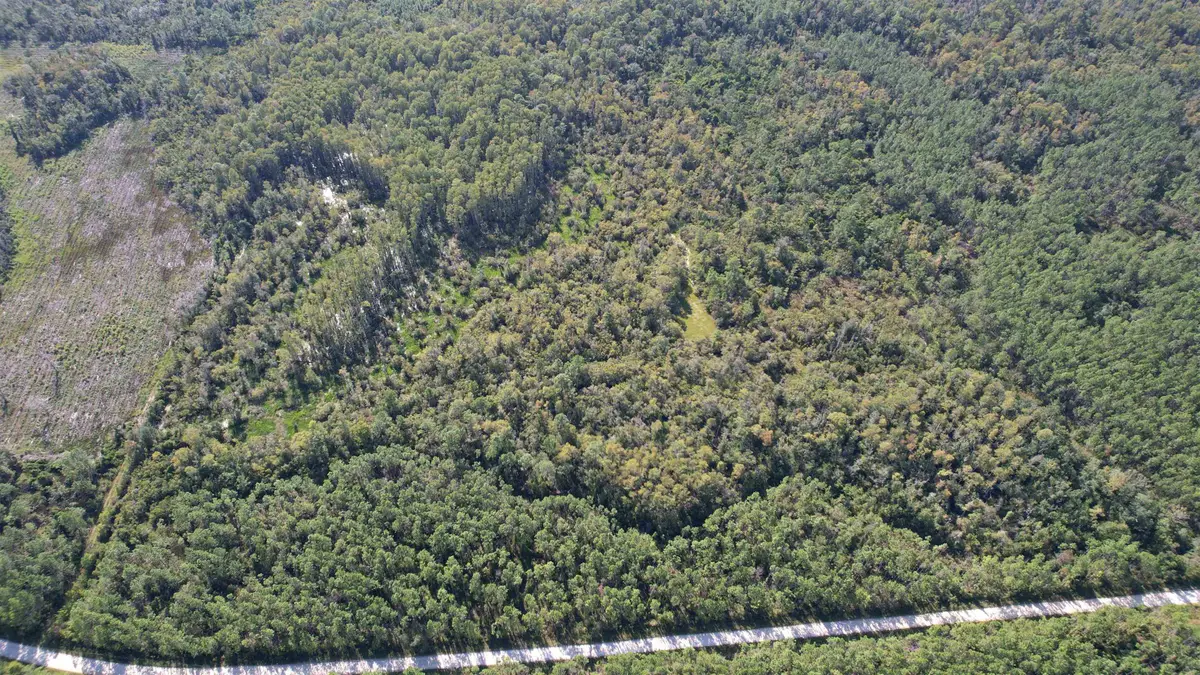 0 Airport Grade Road, Perry, FL 32348 - #1